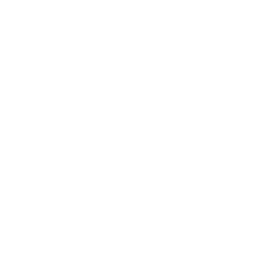 OPTTS Service Item