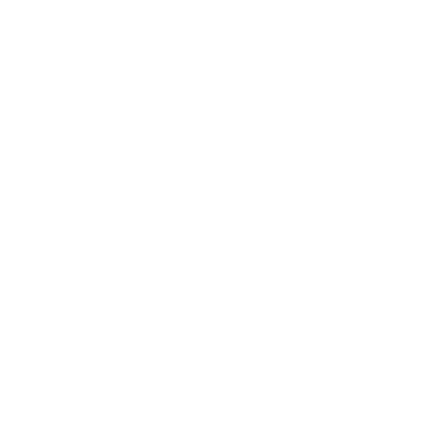 OPTTS Service Item