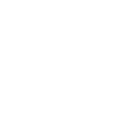 OPTTS Service Item