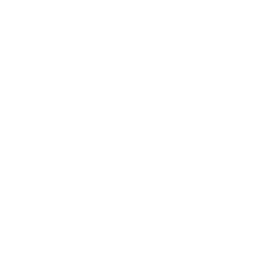 OPTTS Service Item